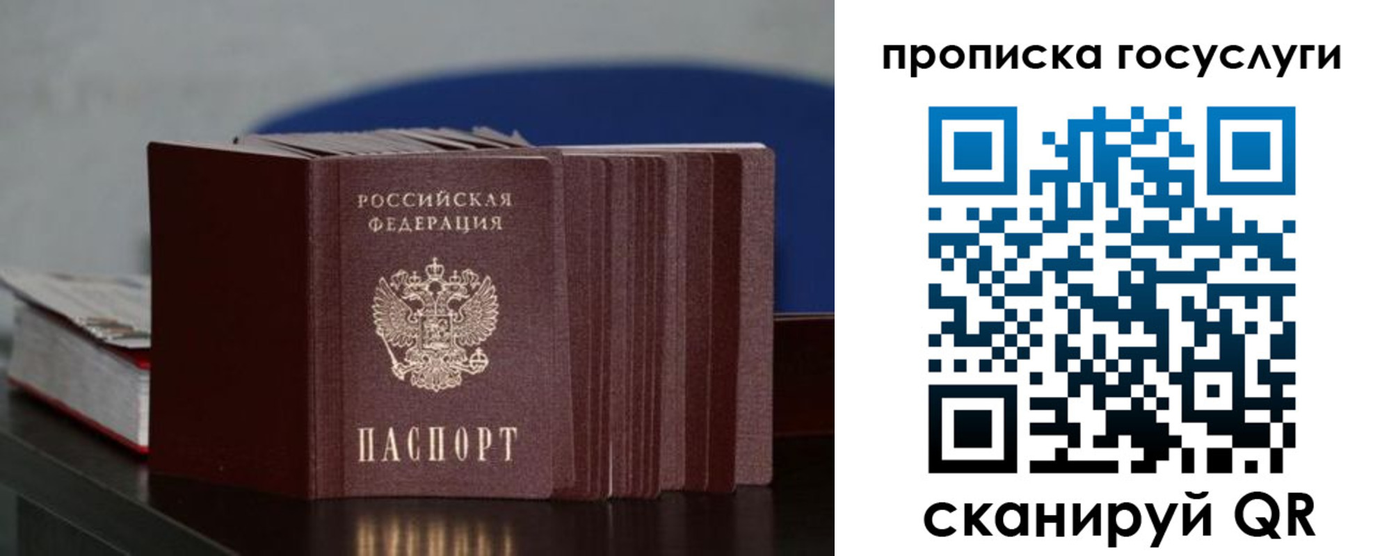 купить прописку в Мончегорске